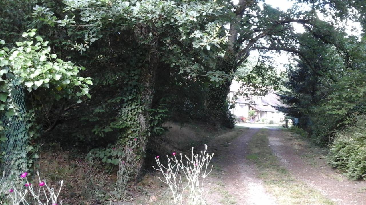 Les Grandes Oreilles Vierzon Zewnętrze zdjęcie